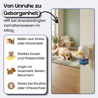 Ruhi. Damit dein Hund endlich ruhig ist.