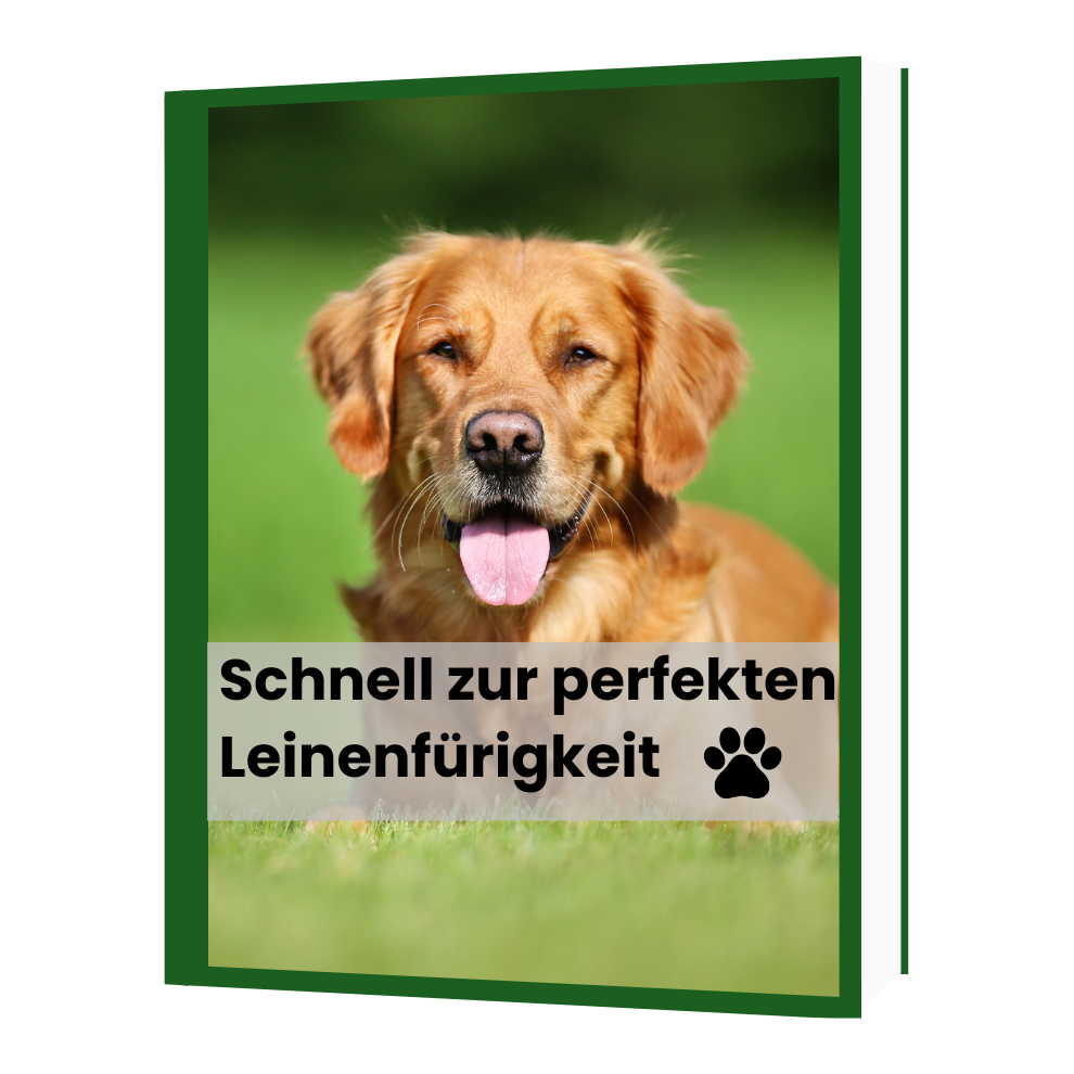 Leinenführigkeits E-Book