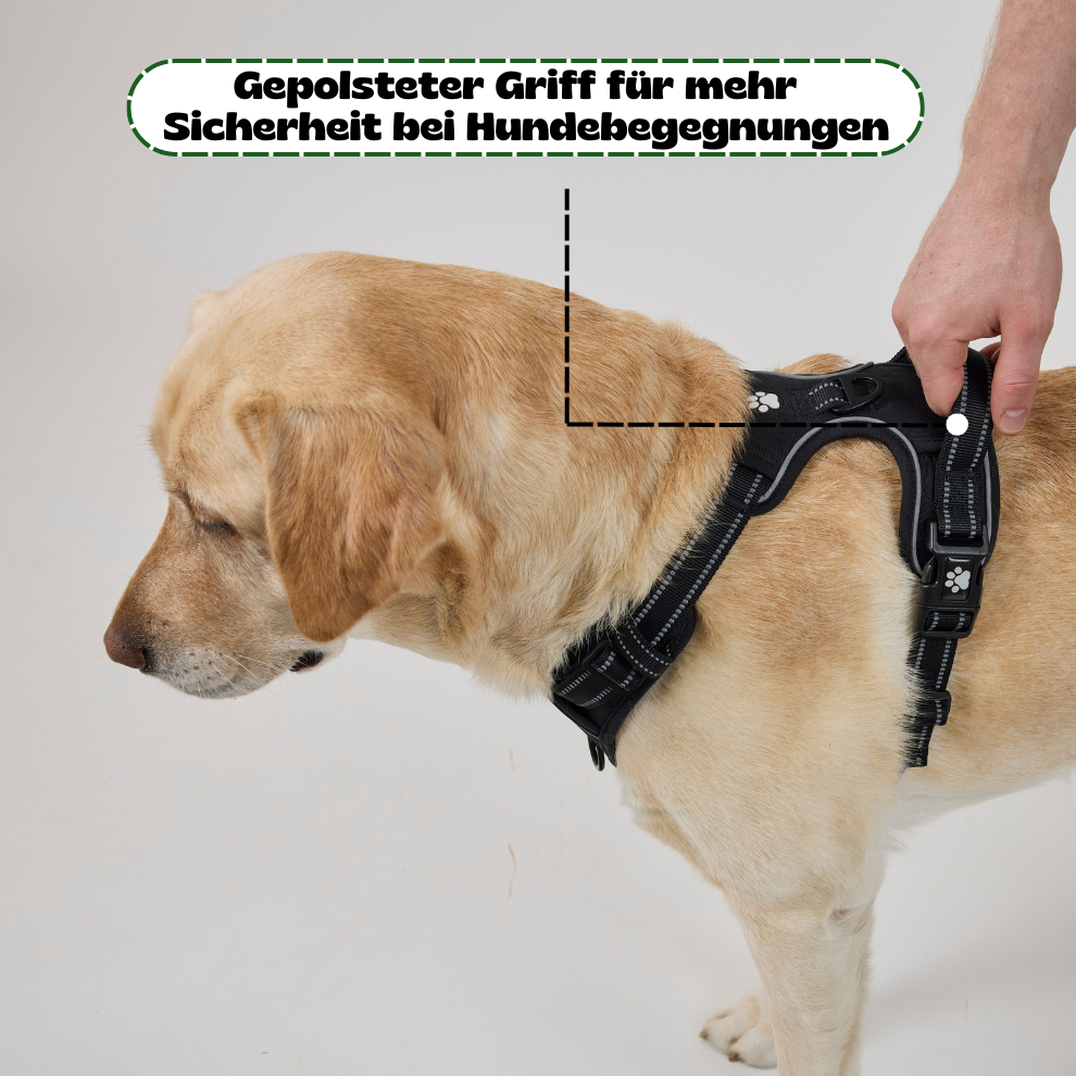 Pawsen® Easywalk Anti-Zug Geschirr