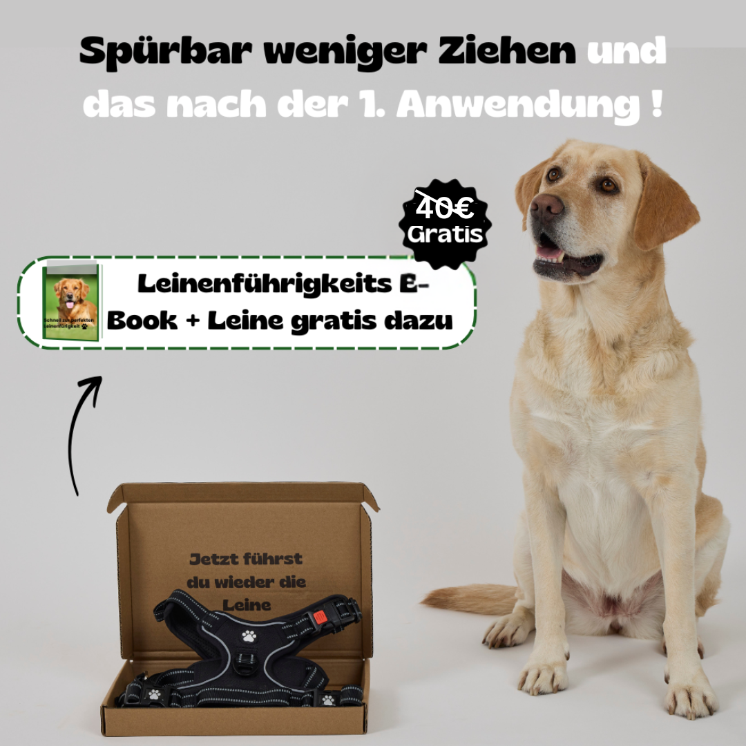Pawsen® Easywalk Anti-Zug Geschirr